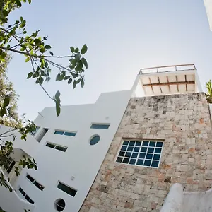 https://nasim-condo-hotel-playa-del-carmen.quintano-roohotels.com
